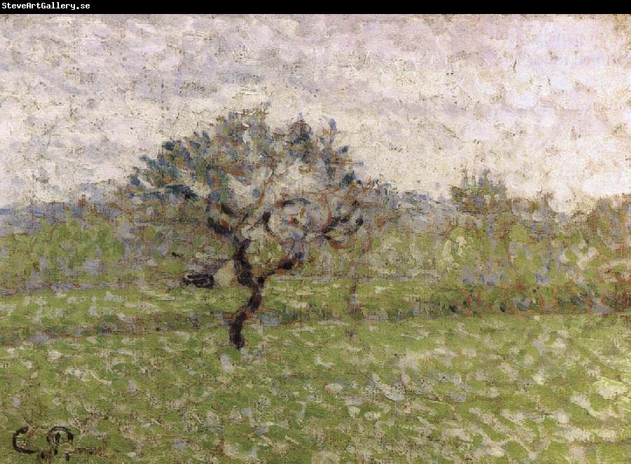 Camille Pissarro Apple